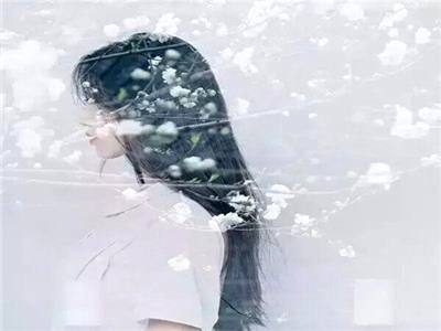 67194老司机,网约车“老司机”揭秘：他们的秘密！-3